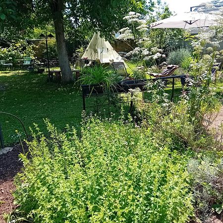Indian Tent Tipi In Shared Lot And Shared Bathroom Mrse Bagian luar foto