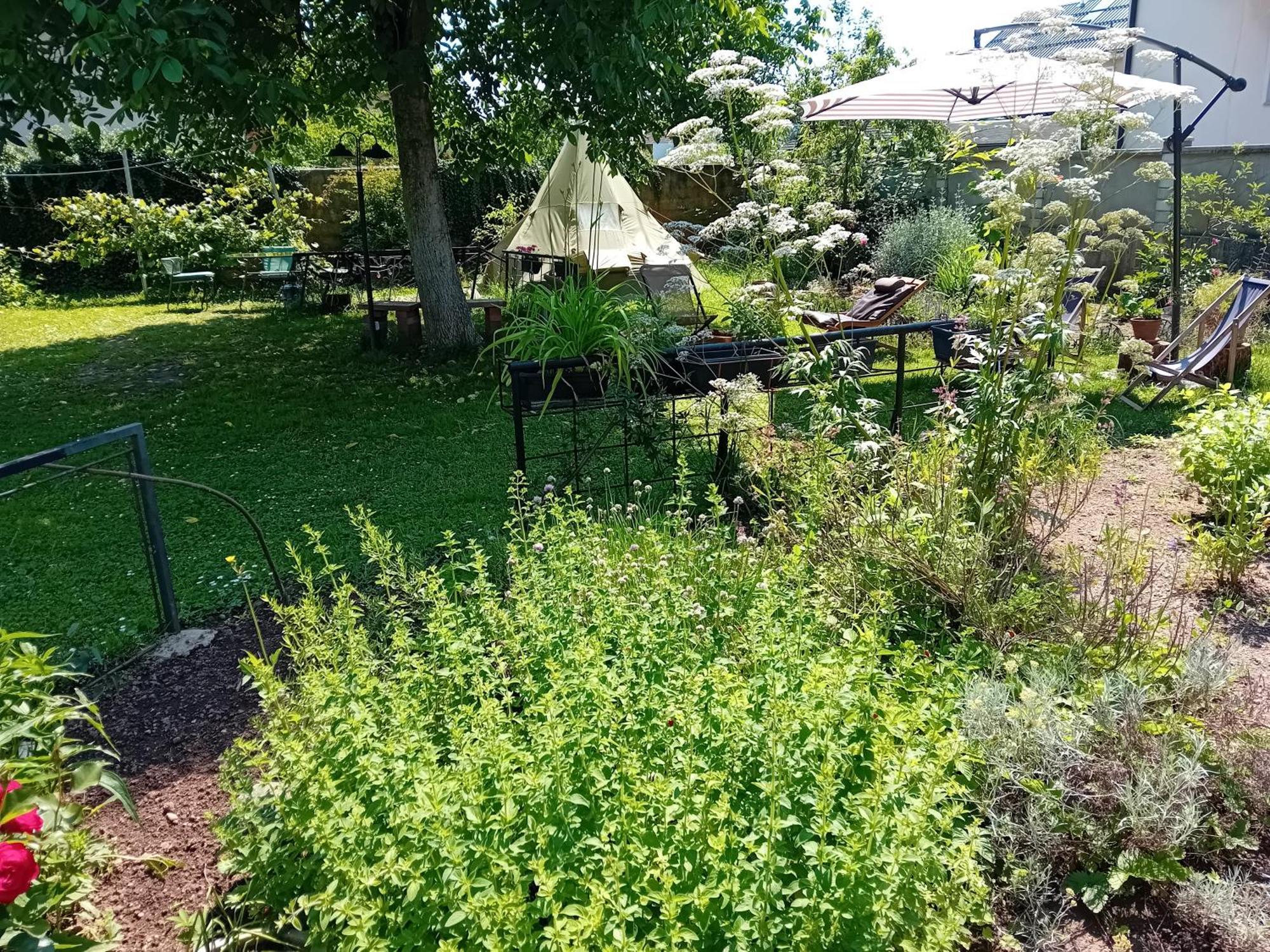 Indian Tent Tipi In Shared Lot And Shared Bathroom Mrse Bagian luar foto